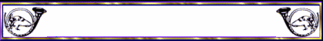 DWZRV